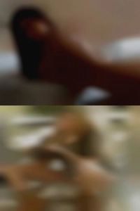 Houston clubs BBW sex bulls swingers.