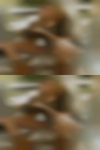 SC posted horny girls roads secretly.